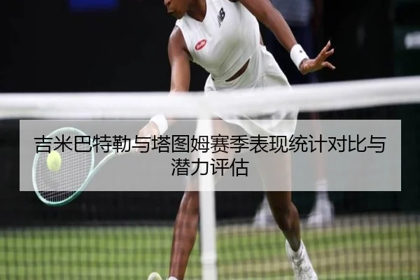 吉米巴特勒与塔图姆赛季表现统计对比与潜力评估